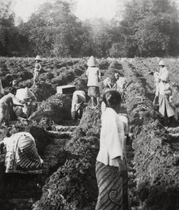 Framed Print : Preparing irrigation channels at a sugar plantation, Java, Dutch East Indies, 1927 Framed Print : Preparing irrigation channels at a sugar plantation, Java, Dutch East Indies, 1927