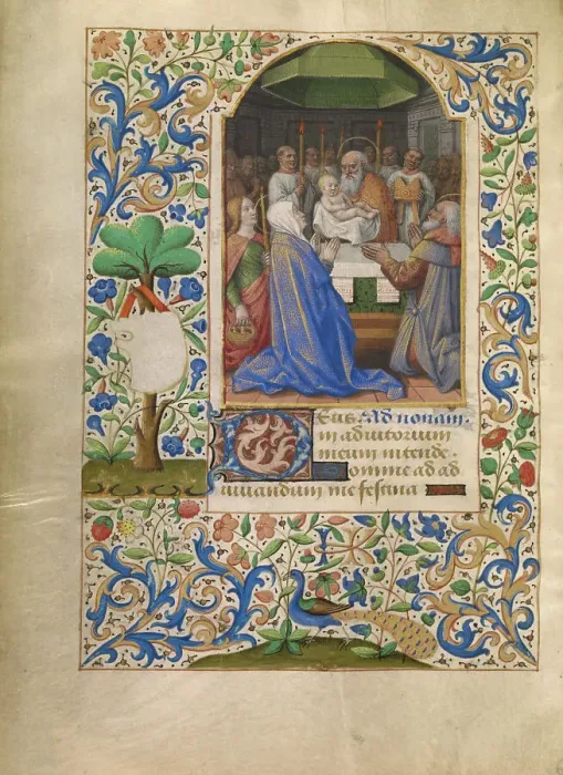 Framed Print : The Presentation in the Temple; Katherine Hours, about 1480-1485. Creator: Jean Bourdichon Framed Print : The Presentation in the Temple; Katherine Hours, about 1480-1485. Creator: Jean Bourdichon