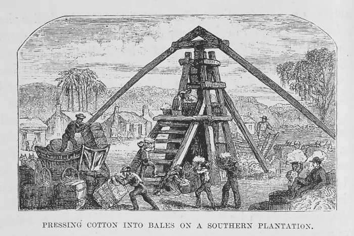 Framed Print : Pressing cotton into bales on a southern plantation, 1882. Creator: Unknown Framed Print : Pressing cotton into bales on a southern plantation, 1882. Creator: Unknown