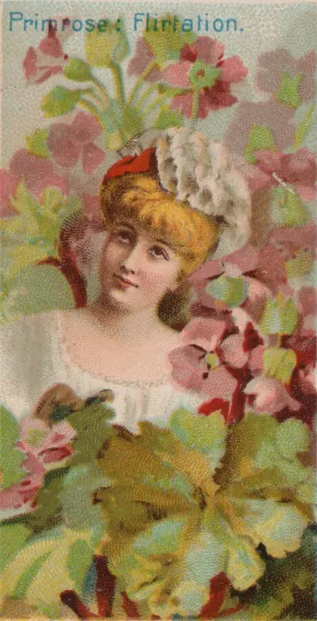 Framed Print : Primrose: Flirtation, from the series Floral Beauties and Language of Flowers (N75 Framed Print : Primrose: Flirtation, from the series Floral Beauties and Language of Flowers (N75