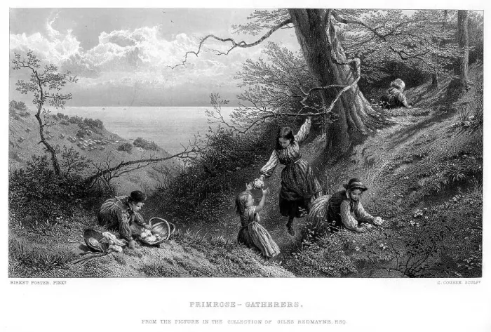 Framed Print : Primrose Gatherers, 1930s. Artist: C Cousen Framed Print : Primrose Gatherers, 1930s. Artist: C Cousen