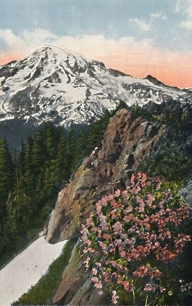 The Primrose on Mount Rainier, c1916. Artist: Asahel Curtis