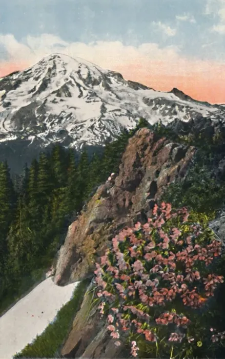 Framed Print : The Primrose on Mount Rainier, c1916. Artist: Asahel Curtis Framed Print : The Primrose on Mount Rainier, c1916. Artist: Asahel Curtis