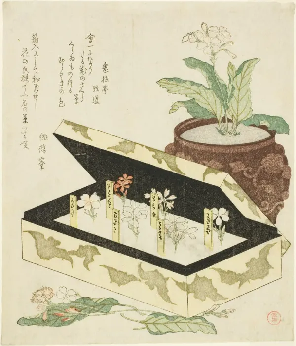 Framed Print : Primroses, Japan, c. 1810s. Creator: Kubo Shunman Framed Print : Primroses, Japan, c. 1810s. Creator: Kubo Shunman