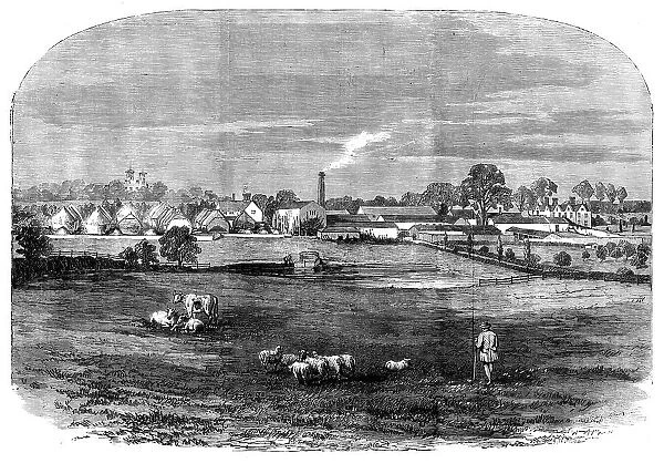 The Prince Consort's Model Farm at Osborne, 1858. Creator: Unknown