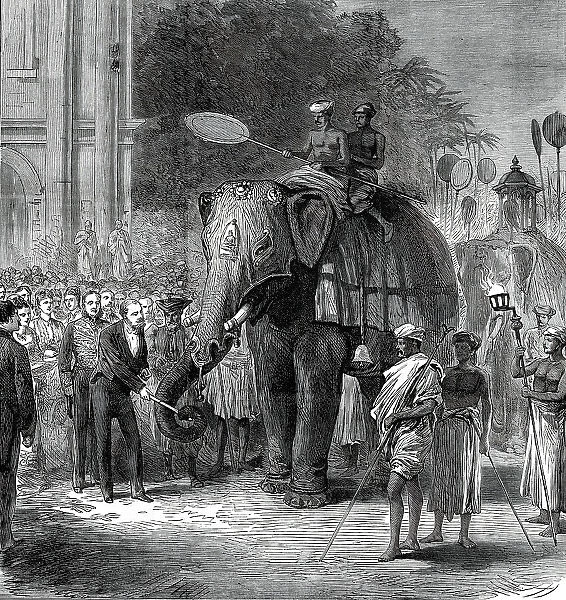 The Prince giving sugar-cane to the elephants at the rehearsal of the Perahara, Kandy... 1876. Creator: Unknown