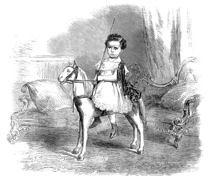 Framed Print : The Prince Imperial of France, 1858. Creator: Unknown Framed Print : The Prince Imperial of France, 1858. Creator: Unknown