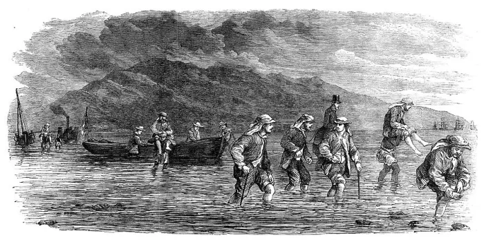 Framed Print : The Prince of Wales in Egypt: the Royal Party landing on the Arabian coast, on their... 1862. Creator: Unknown Framed Print : The Prince of Wales in Egypt: the Royal Party landing on the Arabian coast, on their... 1862. Creator: Unknown
