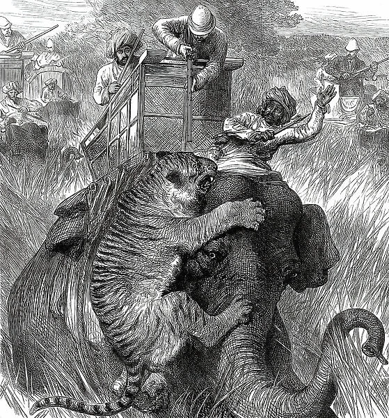 The Prince of Wales in the Nepaul Terai: Colonel Sir Arthur Ellis...with a Tiger...1876. Creator: Unknown