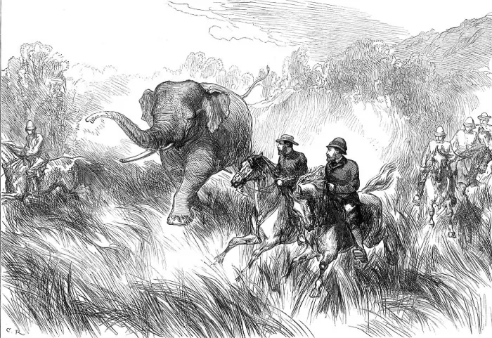 Framed Print : The Prince of Wales in the Terai: Mr. Rose chased by a Wild Elephant...1876. Creator: C.R Framed Print : The Prince of Wales in the Terai: Mr. Rose chased by a Wild Elephant...1876. Creator: C.R