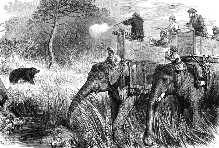 Framed Print : The Prince of Wales in the Terai: Shooting a Bear...1876. Creator: Unknown Framed Print : The Prince of Wales in the Terai: Shooting a Bear...1876. Creator: Unknown