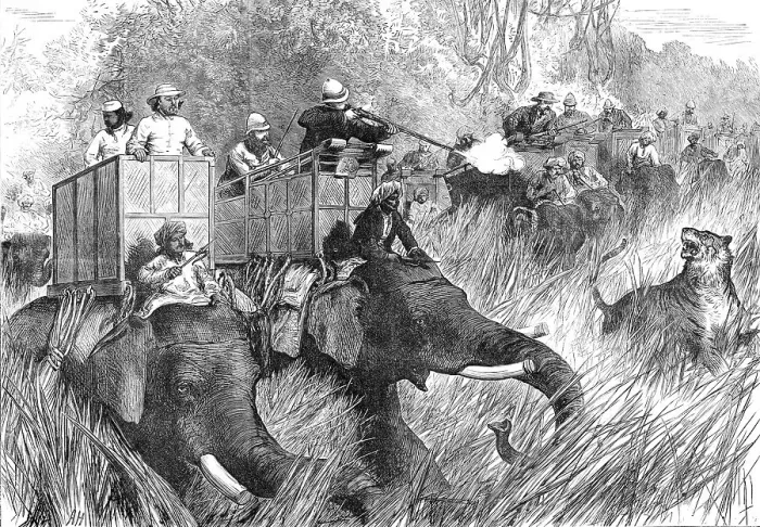 Framed Print : The Prince of Wales Tiger-Shooting with Sir Jung Bahadoor: the Critical Moment...1876. Creator: Unknown Framed Print : The Prince of Wales Tiger-Shooting with Sir Jung Bahadoor: the Critical Moment...1876. Creator: Unknown