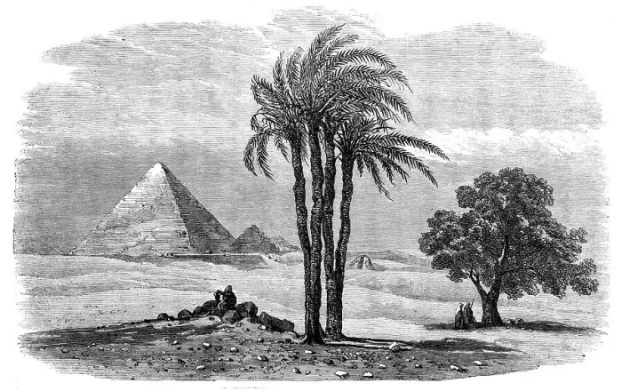 Framed Print : The Prince of Wales Visit to Egypt: the Great Pyramid - from a drawing by Frank Dillon, 1862. Creator: Unknown Framed Print : The Prince of Wales Visit to Egypt: the Great Pyramid - from a drawing by Frank Dillon, 1862. Creator: Unknown