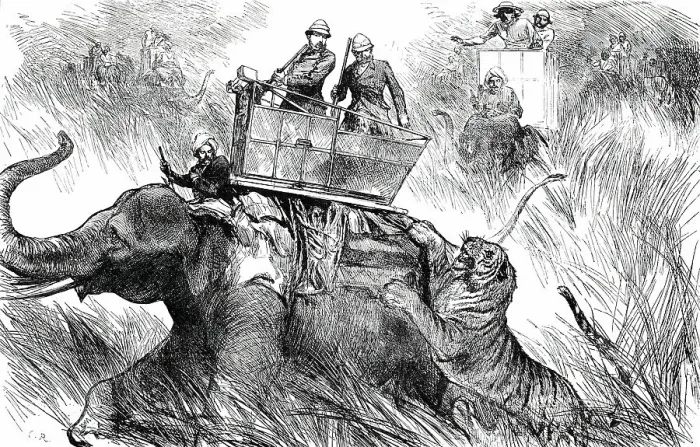 Framed Print : The Prince of Wales's Elephant charged by a Tiger, 1876. Creator: C.R Framed Print : The Prince of Wales's Elephant charged by a Tiger, 1876. Creator: C.R