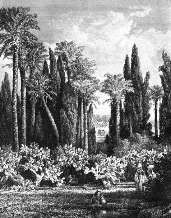Framed Print : Princely Garden in Cairo, Egypt, 1880 Framed Print : Princely Garden in Cairo, Egypt, 1880