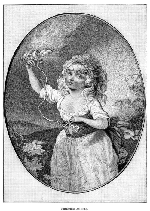 Framed Print : Princess Amelia, youngest daughter of George III and Queen Charlotte, 19th century Framed Print : Princess Amelia, youngest daughter of George III and Queen Charlotte, 19th century