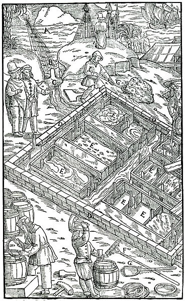 Producing salt by evaporating sea water in salt pans, 1556