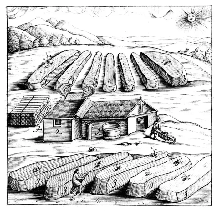 Framed Print : Production of saltpetre (nitre, potassium nitrate, or KN03), 1683 Framed Print : Production of saltpetre (nitre, potassium nitrate, or KN03), 1683
