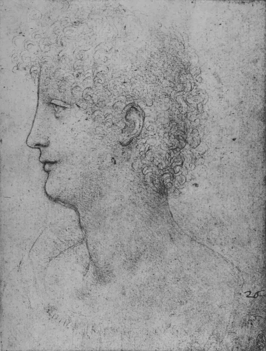 Framed Print : Profile to the Left of a Curly-Headed Youth, c1480 (1945). Artist: Leonardo da Vinci Framed Print : Profile to the Left of a Curly-Headed Youth, c1480 (1945). Artist: Leonardo da Vinci
