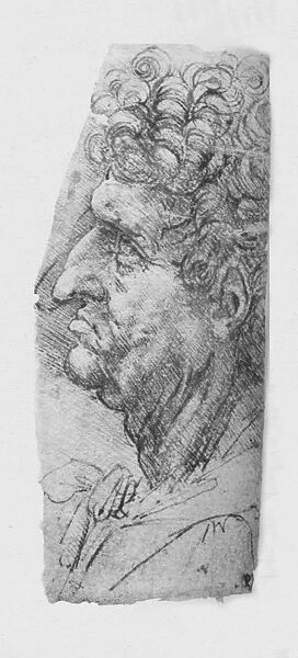 Profile to the Left of an Elderly Man with Curly Hair, c1480 (1945). Artist: Leonardo da Vinci