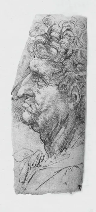 Framed Print : Profile to the Left of an Elderly Man with Curly Hair, c1480 (1945). Artist: Leonardo da Vinci