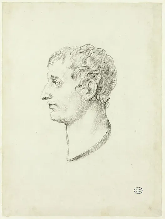 Framed Print : Profile of Napoleon, c. 1810. Creator: Jacques-Louis David Framed Print : Profile of Napoleon, c. 1810. Creator: Jacques-Louis David
