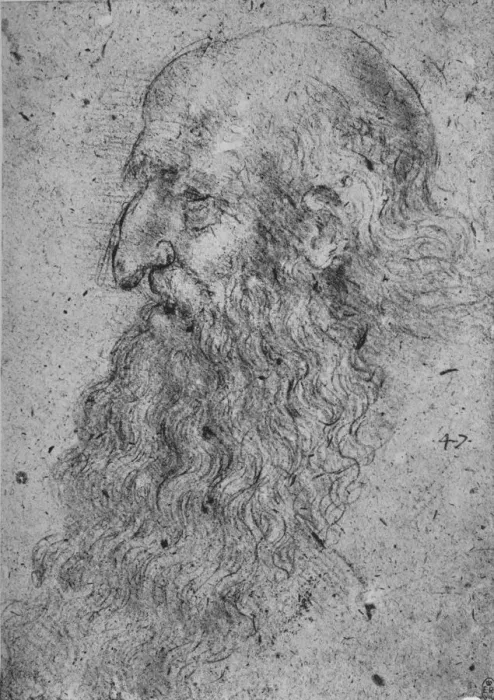 Framed Print : Profile of an Old, Bearded Man to the Left, c1480 (1945). Artist: Leonardo da Vinci Framed Print : Profile of an Old, Bearded Man to the Left, c1480 (1945). Artist: Leonardo da Vinci