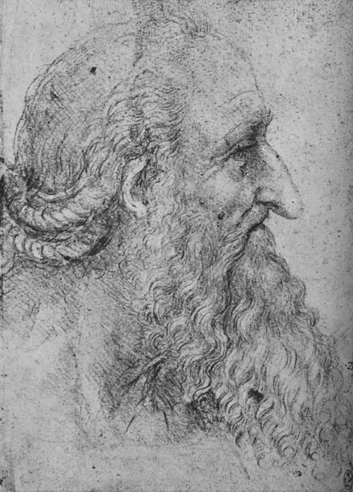 Framed Print : Profile of an Old, Bearded Man to the Right, c1480 (1945). Artist: Leonardo da Vinci