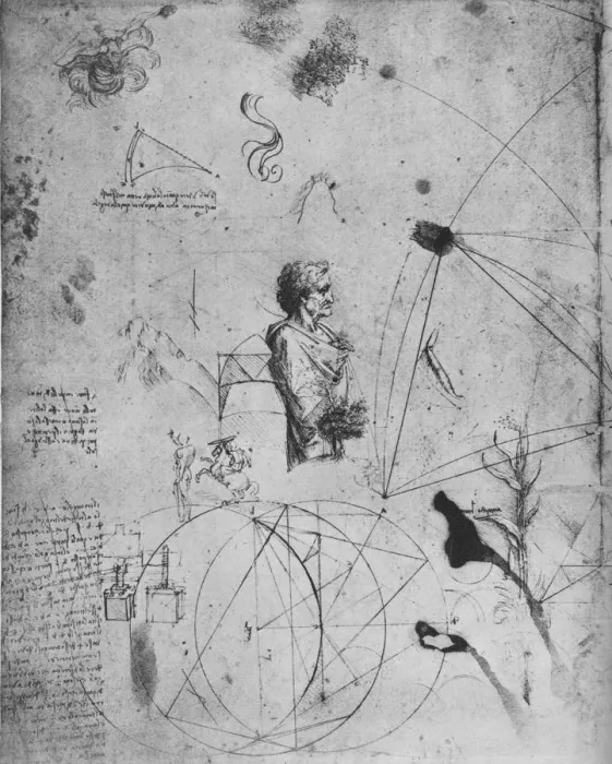 Framed Print : Profile of an Old Man, Plants, Geometrical Figures, Etc. c1480 (1945). Artist: Leonardo da Vinci Framed Print : Profile of an Old Man, Plants, Geometrical Figures, Etc. c1480 (1945). Artist: Leonardo da Vinci