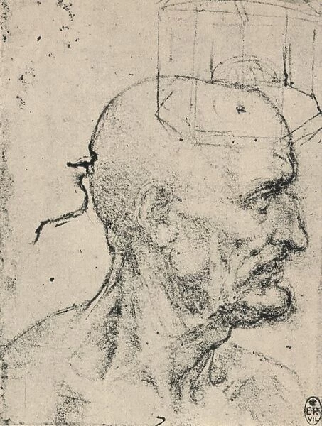 Profile to Right of a Bald Man, c1480 (1945). Artist: Leonardo da Vinci