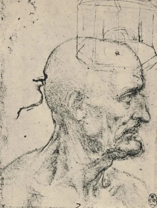 Framed Print : Profile to Right of a Bald Man, c1480 (1945). Artist: Leonardo da Vinci Framed Print : Profile to Right of a Bald Man, c1480 (1945). Artist: Leonardo da Vinci