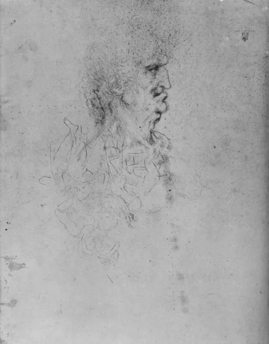 Framed Print : Profile to the Right of an Old Man, c1480 (1945). Artist: Leonardo da Vinci Framed Print : Profile to the Right of an Old Man, c1480 (1945). Artist: Leonardo da Vinci
