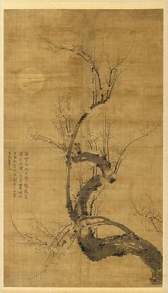 A Prunus in the Moonlight, 1300s. Creator: Wang Mian (Chinese, 1287-1359)