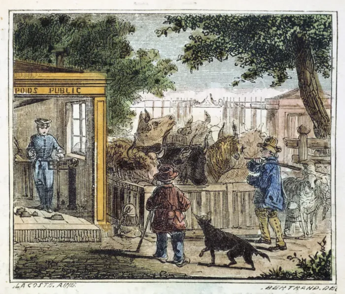 Framed Print : Public weighbridge used to weigh cattle in a market, 1867 Framed Print : Public weighbridge used to weigh cattle in a market, 1867