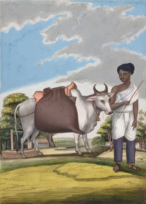 Framed Print : Puckaly in Moor Cast, from Indian Trades and Castes, ca. 1840. Creator: Anon Framed Print : Puckaly in Moor Cast, from Indian Trades and Castes, ca. 1840. Creator: Anon