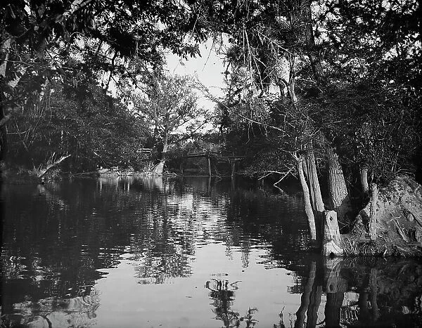 Puente Real near Rascon, between 1880 and 1897. Creator: William H. Jackson