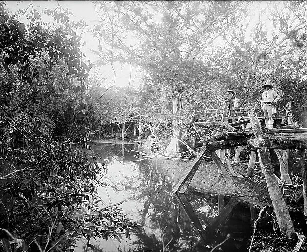 Puente Real near Rascon, between 1880 and 1897. Creator: William H. Jackson