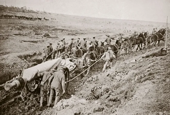 Framed Print : Pulling a big gun with a twelve horse team and the help of the gun crew, France, World War I, 1916 Framed Print : Pulling a big gun with a twelve horse team and the help of the gun crew, France, World War I, 1916