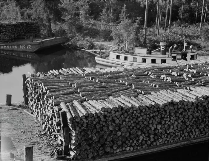 Framed Print : Pulp wood going down the River Styx to Mobile by inland waterway near Robertsdale, Alabama, 1937. Creator: Dorothea Lange Framed Print : Pulp wood going down the River Styx to Mobile by inland waterway near Robertsdale, Alabama, 1937. Creator: Dorothea Lange