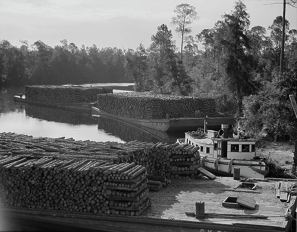 Pulpwood going down the River Styx to Mobile by inland waterway, near Robertsdale, Alabama, 1937. Creator: Dorothea Lange