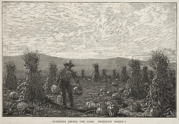 Framed Print : Pumpkins Among the Corn, 1878. Creator: Winslow Homer (American, 1836-1910)
