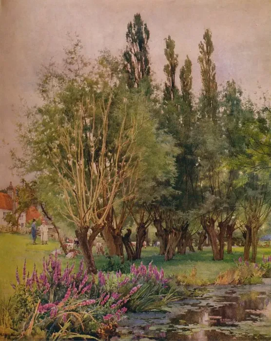Framed Print : Purple Loosestrife, c1891. Artist: Alfred William Parsons Framed Print : Purple Loosestrife, c1891. Artist: Alfred William Parsons
