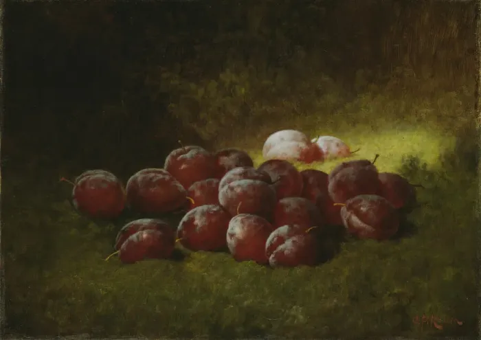 Framed Print : Purple Plums, 1895. Creator: Carducius Plantagenet Ream Framed Print : Purple Plums, 1895. Creator: Carducius Plantagenet Ream