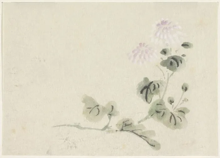 Framed Print : Purple-white chrysanthemums, 1808-1861. Creator: Utagawa Kuniyoshi Framed Print : Purple-white chrysanthemums, 1808-1861. Creator: Utagawa Kuniyoshi