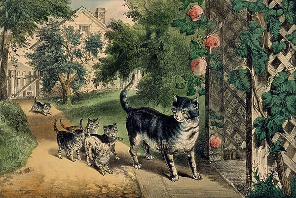 Pussys Return, 1874-78. 1874-78. Creators: Nathaniel Currier, James Merritt Ives
