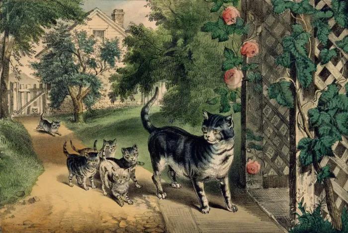 Framed Print : Pussys Return, 1874-78. 1874-78. Creators: Nathaniel Currier, James Merritt Ives Framed Print : Pussys Return, 1874-78. 1874-78. Creators: Nathaniel Currier, James Merritt Ives