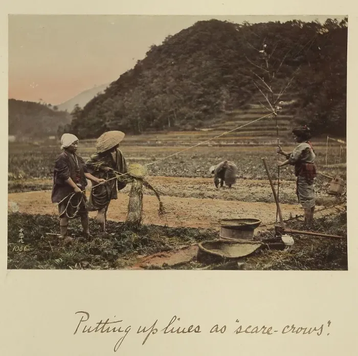 Framed Print : Putting up lines as scare-crows, about 1873-1883. Creator: Shinichi Suzuki I Framed Print : Putting up lines as scare-crows, about 1873-1883. Creator: Shinichi Suzuki I