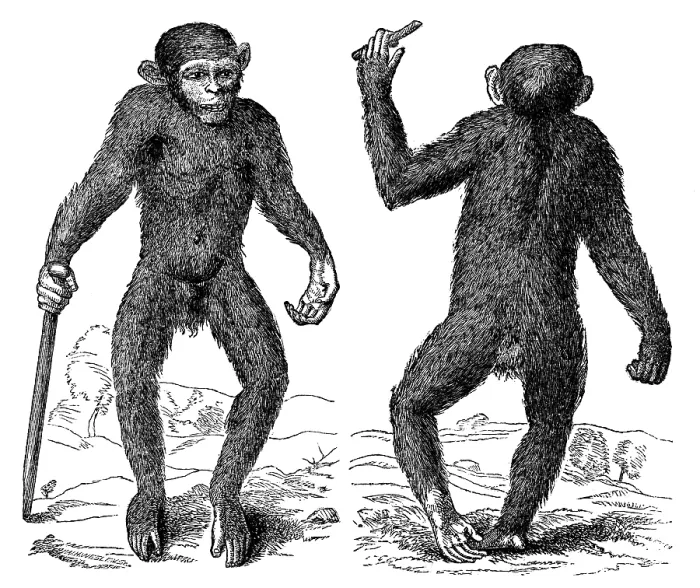 Framed Print : The Pygmie, 1699, (1863). Creator: Unknown Framed Print : The Pygmie, 1699, (1863). Creator: Unknown