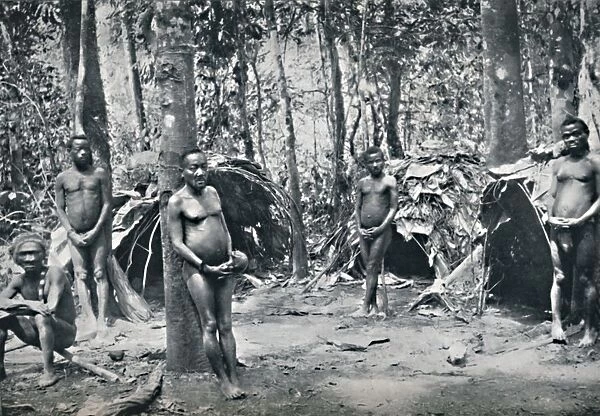 A Pygmy village, North-East Congo Basin, 1912