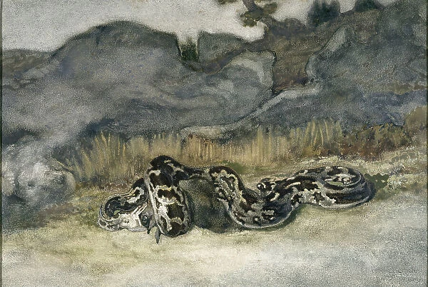 Python Swallowing a Roe-Deer, c1840s. Creator: Antoine-Louis Barye